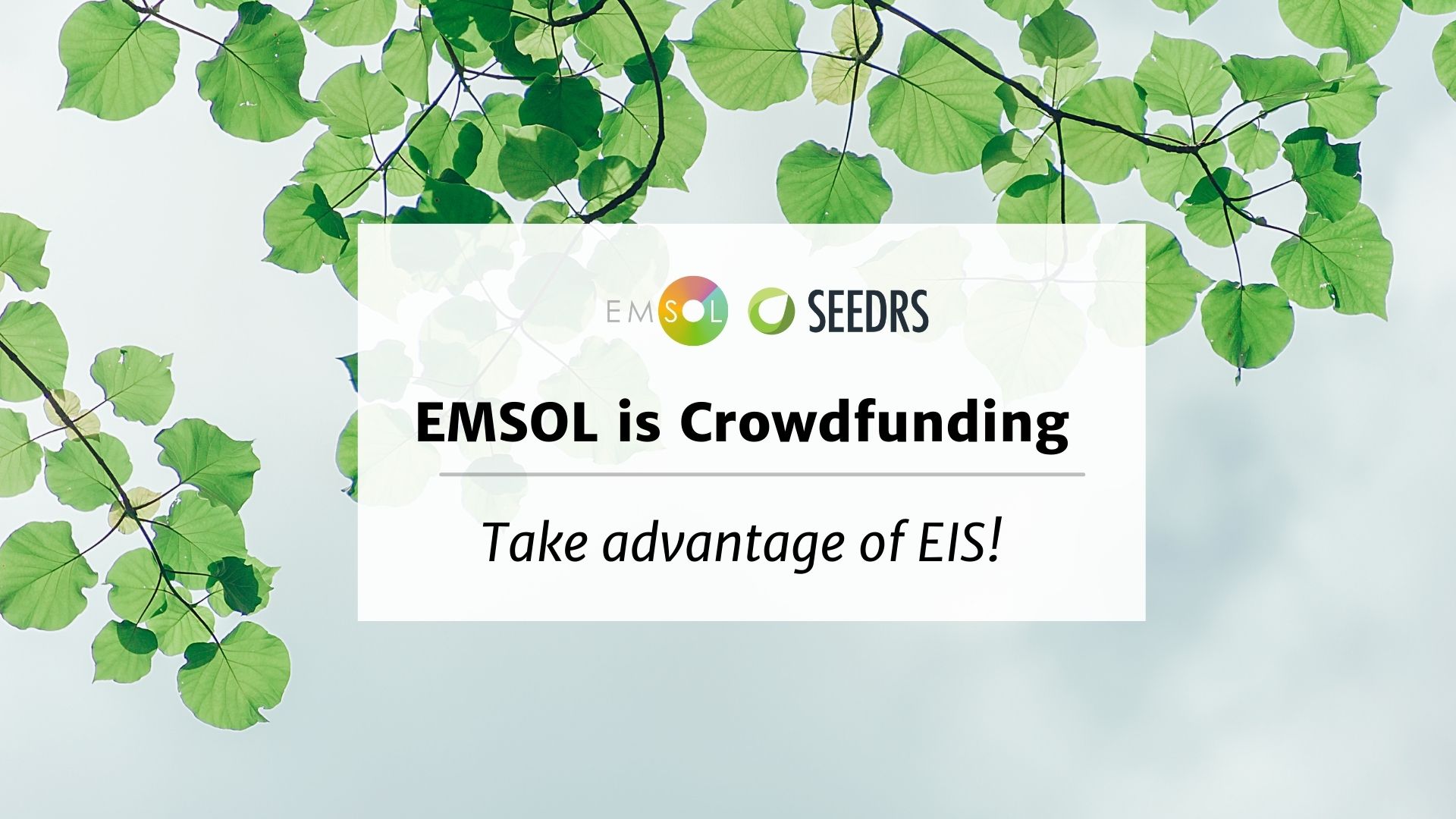 EMSOL is Crowdfunding – take advantage of EIS