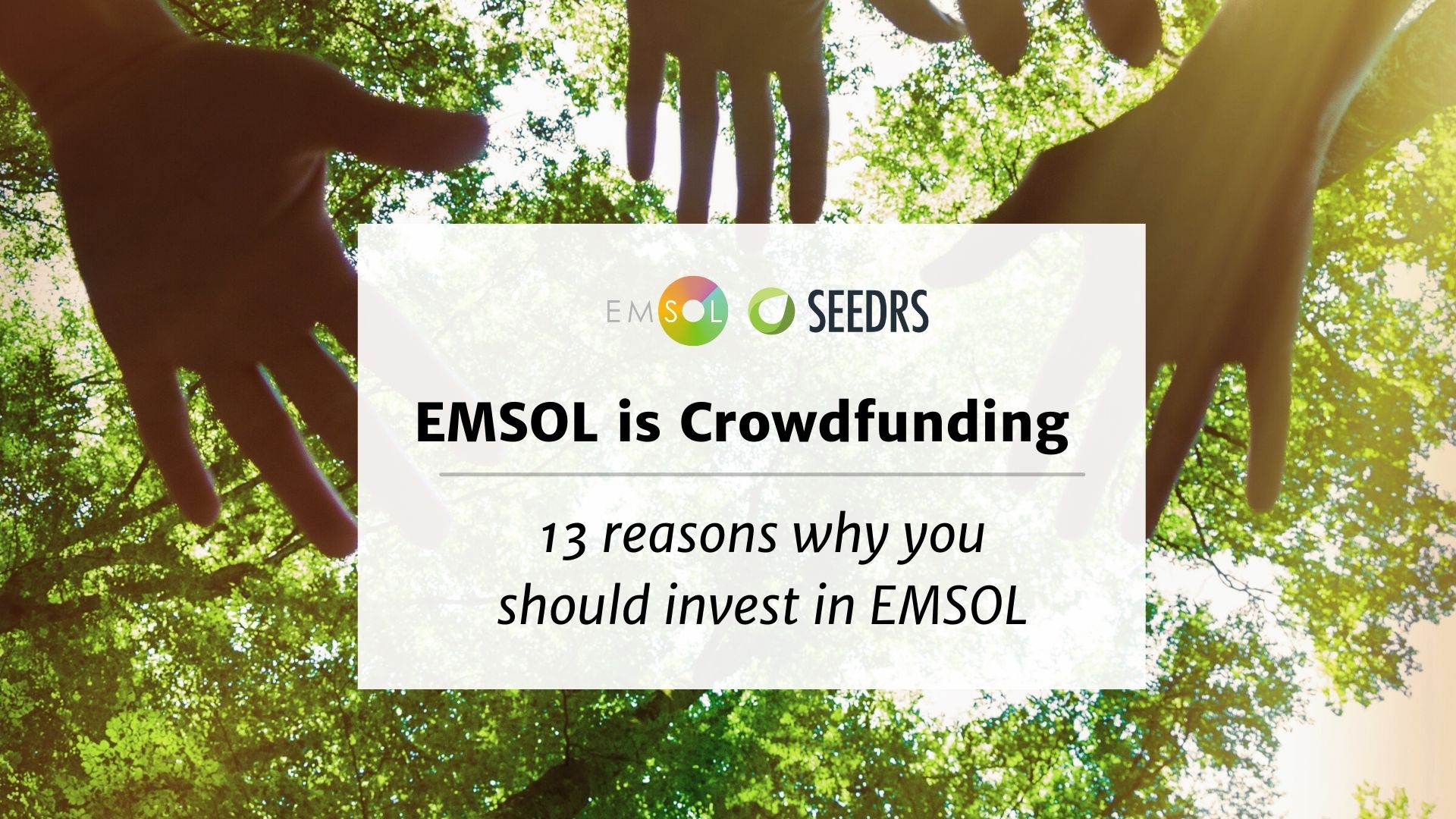 13 Reasons to Invest in EMSOL
