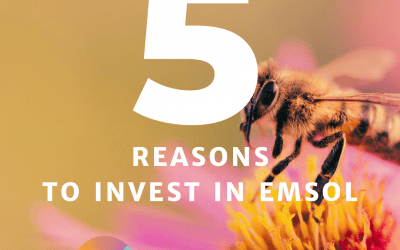 5 Reasons to Invest in EMSOL