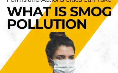 How Dangerous Smog Pollutant Forms and Actions Cities Can Take Action