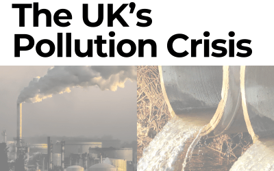 Sewage Spills and Toxic Air: The UK’s Twin Pollution Crises